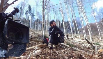 Marea defrisare. Trei hectare de padure s-au taiat ilegal in fiecare ora in Romania. Politicienii, politistii si silvicultorii au inchis ochii