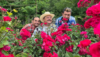 Dorel vrea să își facă 