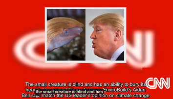 O specie de amfibian va purta numele lui Donald Trump. Asemănarea cu președintele e izbitoare, spune cel care a ales numele