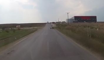 S-a intamplat in Romania. A lasat camera video pornita in timp ce conducea si a surprins un moment incredibil