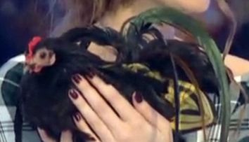 Iulia Albu nu este singura vedeta cu gaina de companie. Ce actrita superba de la noi a fost surprinsa cu o inaripata