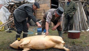 Ce este interzis să faci de Ignat. Tradiții și obiceiuri pe care este bine să le respecți pe 20 decembrie ca să nu alungi norocul din casă