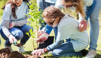 Zece mii de copii din cinci judete dau o lectie ce ar trebui invatata de noi toti. Au plantat copaci pe hectare intregi