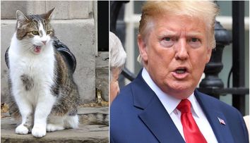Larry, motanul guvernului Marii Britanii, a provocat un incident diplomatic. Ce i-a făcut lui Trump