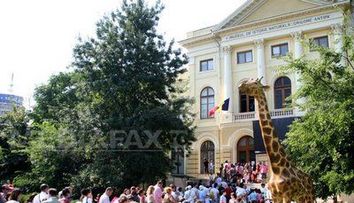 Muzeul Antipa, vizitat in prima luna de la redeschidere cat intr-un an
