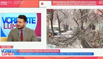 VIDEO Procedura pentru despăgubiri în cazul mașinilor distruse de copaci  