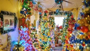 Record absolut! Cum arată casa împodobită cu 605 de brazi de Crăciun. Au fost folosite peste 110.000 de beculețe LED pentru decor