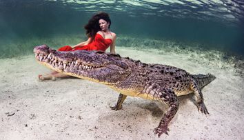 Povestea din spatele imaginilor virale cu un crocodil uriaș care a „intrat” într-o ședință foto subacvatică