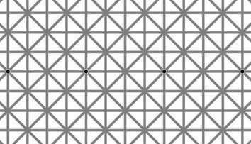 O iluzie optica a indus in eroare peste 2 milioane de oameni! Cate puncte negre sunt in imagine