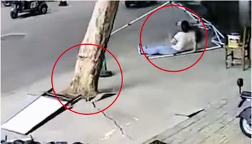 Incident dramatic provocat de furtună! Momentul în care o femeie este prinsă sub un copac doborât de vânt