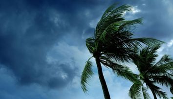 VIDEO Prognoza meteo: vânt puternic