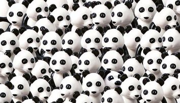 Iluzie optică virală! Tu poți găsi câinele care se ascunde printre urșii panda?