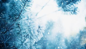 Prognoza meteo: Vreme rece și temperaturi negative