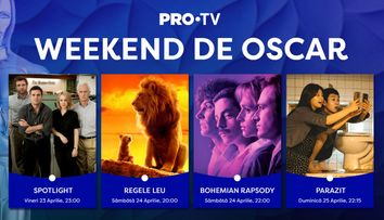 PRO TV ți-a pregătit un Weekend de Oscar. Urmărește cele mai bune filme din ultimii ani