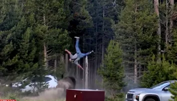 VIDEO Turist aruncat peste doi metri în aer de un bizon în Parcul Yellowstone. Martor: „Era extrem de agitat și ataca tot ce îi ieșea în cale”