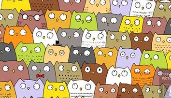 Dupa ce toata lumea a incercat sa gaseasca ursul panda dintr-o imagine, pe internet circula un al doilea puzzle.