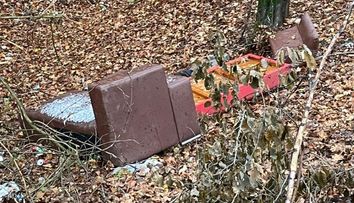 Ce amendă a putut să primească o familie din județul Sibiu după ce și-a aruncat mobila veche în pădure