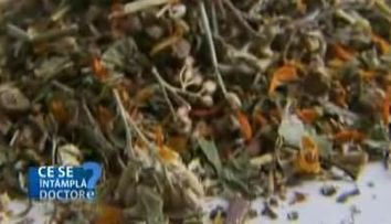 Plantele ce pot echilibra hormonal organismul! VIDEO