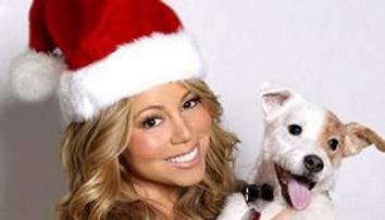 Cateii celebritatilor - rasfat a la Hollywood! FOTO
