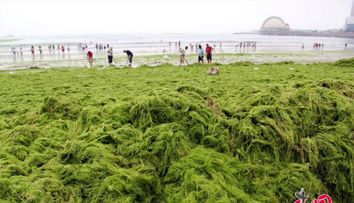 O zi la plaja in China: credeai ca nu poate fi mai rau decat la noi? VIDEO