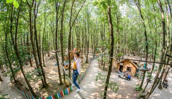 10 parcuri de aventură din România unde distracția e la ea acasă
