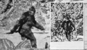 Misteriosul video cu Bigfoot, din 1967, scanat cu metode revoluționare. Concluziile sunt surprinzătoare