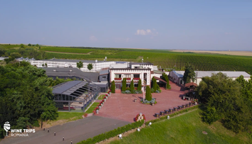 Wine Trips România, sezonul 4 | Secretele vinurilor medaliate de la Cramele Recaș