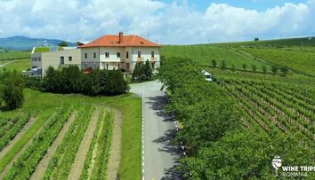 Wine Trips România | Pe drumul vinului românesc la Crama LacertA