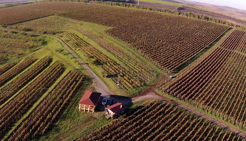 Wine Trips România | Crama La Salina, succes românesc construit cu migală de la zero