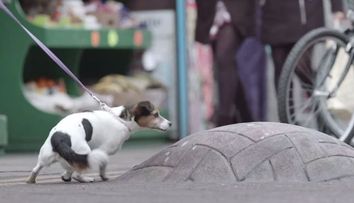 Cu fiecare zi care trecea, asfaltul se umfla tot mai mult. Mesajul ascuns din spatele acestor imagini - VIDEO