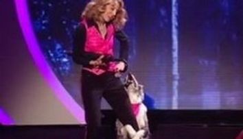 Chandi, cainele dansator, face furori la Britain’s Got Talent! E in finala