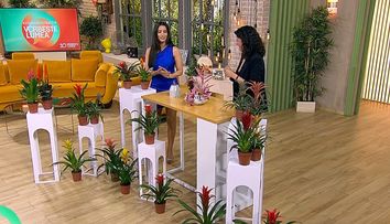 Planta exotică perfectă pentru casă: rezistă ani întregi, se îngrijește extrem de ușor și oferă oxigen chiar și noaptea