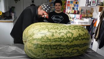 Reacția unor agricultori care au tăiat un pepene de 130 de kilograme. Cum arăta în interior