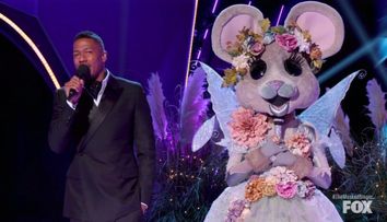 10 lucruri pe care nu le știați despre Masked Singer