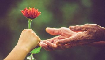 Romania va avea pentru prima data o scoala de voluntariat. Activitatea, considerata experienta profesionala