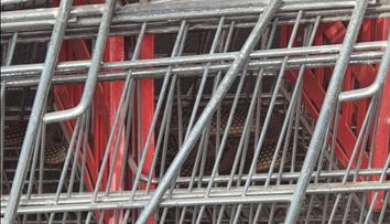 Panică într-un supermarket din Drăgănești-Olt! Un șarpe de aproape 2 metri, descoperit într-un coș de cumpărături FOTO