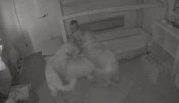 Si-au vazut bebelusul inconjurat de cei doi caini ai familiei, dar nu se asteptau sa faca asta. Ce a urmat