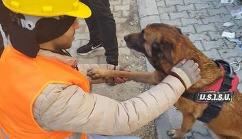 Povestea lui Daniel și a câinelui Speedy, eroii care au salvat vieți în Turcia după cutremurul devastator