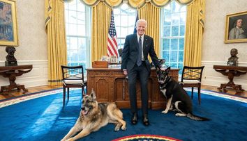 Câinii lui Joe Biden, mutați de la Casa Albă după ce au devenit agresivi. Unde au ajuns patrupedele