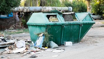 Au auzit zgomote care veneau dintr-un tomberon. Ce au descoperit in interior iti va frange inima