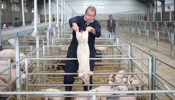 Românii, regretați în Marea Britanie. Agricultura din Regat e aproape de colaps