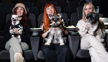 Noi reguli pentru accesul în cinematografe! În ce țară poți intra la film cu animalul tău de companie