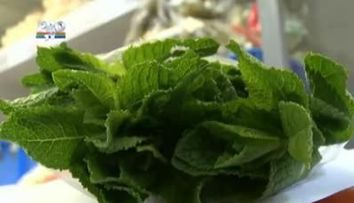 Menta proaspata - beneficii pentru sanatatea ta! VIDEO