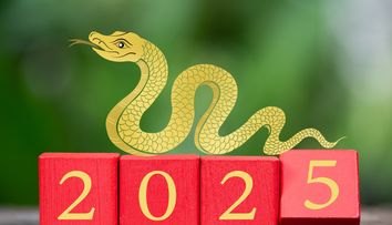 Horoscop chinezesc 2025. Predicții pentru Anul Șarpelui de Lemn pentru fiecare zodie în parte