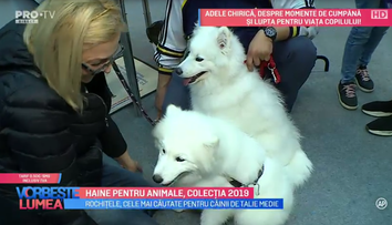 VIDEO Haine pentru animale, colecția 2019