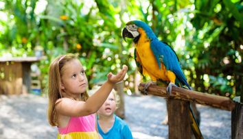 Papagalii de la grădina zoologică, mutați după ce au început să înjure vizitatorii