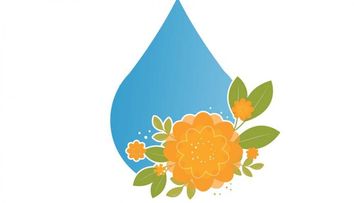 (P) Gelurile cu ulei de la CrisNatur, o porție de natură pentru armonia dintre corp și minte