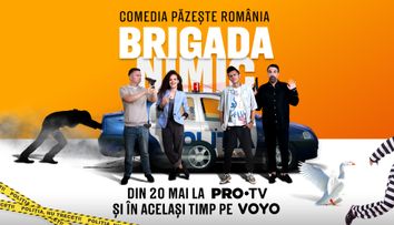 Serialul Brigada Nimic începe astăzi la PRO TV și pe VOYO!