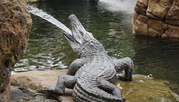 Un copil de 3 ani a fost aruncat în țarcul cu crocodili la o grădină zoologică. Ce s-a întâmplat
