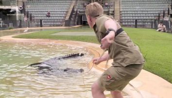 Robert Irwin, fiul ”Vânătorului de crocodili”, prins în ”răsucirea morții” de un crocodil de 4 metri și 325 kg!